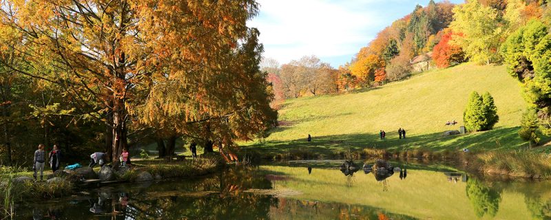 Arboretum d'Aubonne