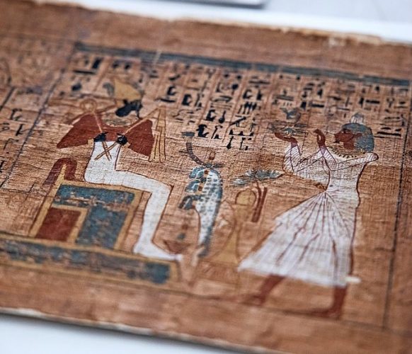 Papyrus 101 de près
