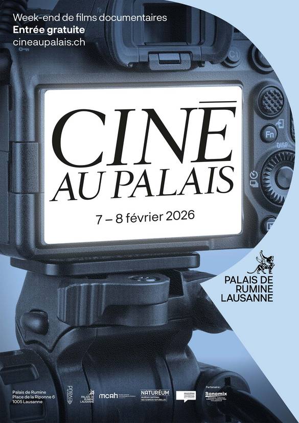 Ciné au Palais