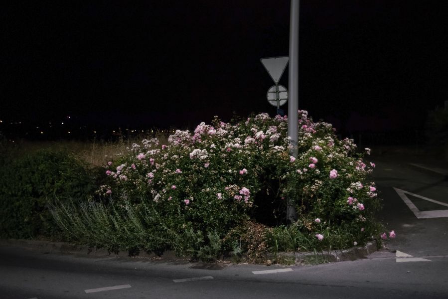 Léonie Rose Marion - Relever la nuit
