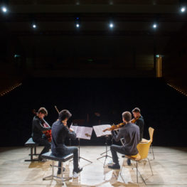 VivaQuatuoràCordes