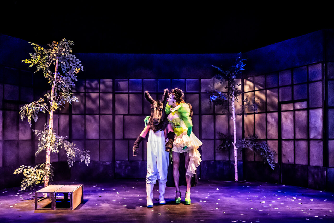 Le songe d'une nuit d'été