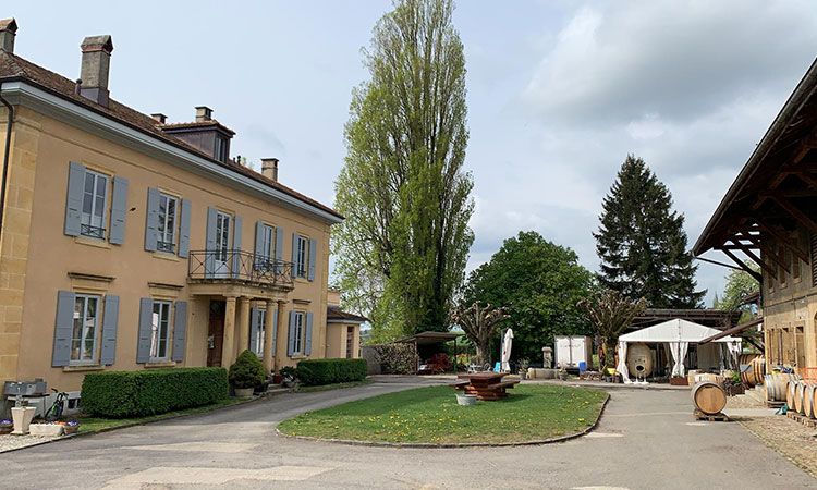 Caves du Pasquier
