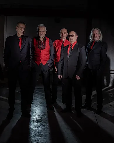 Swingsters / Shaggy Dogs