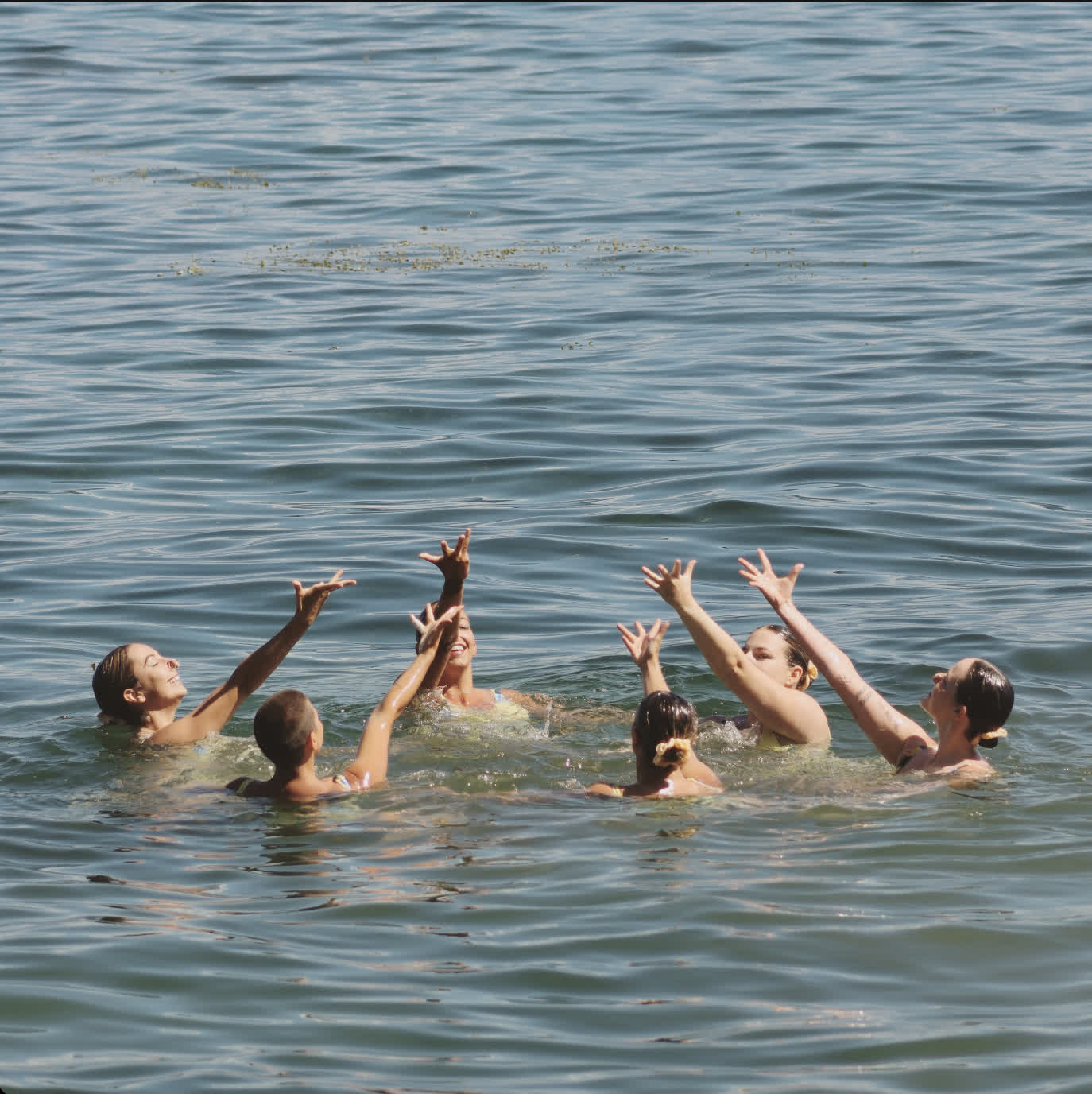 Vachement Synchro