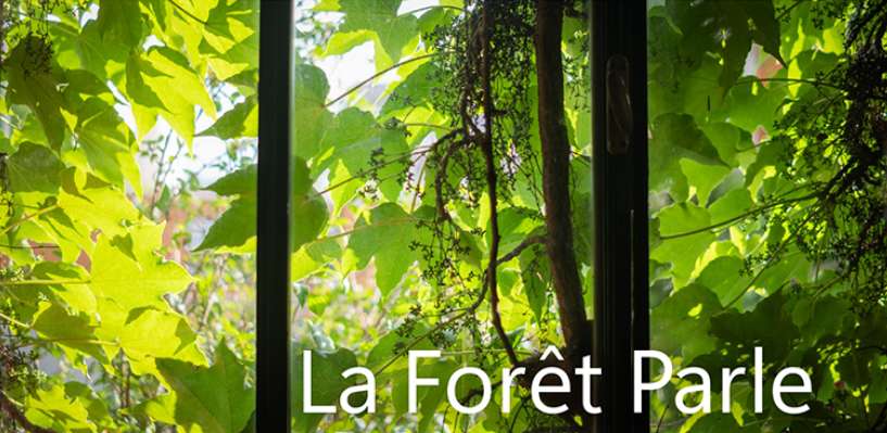 La Forêt Parle