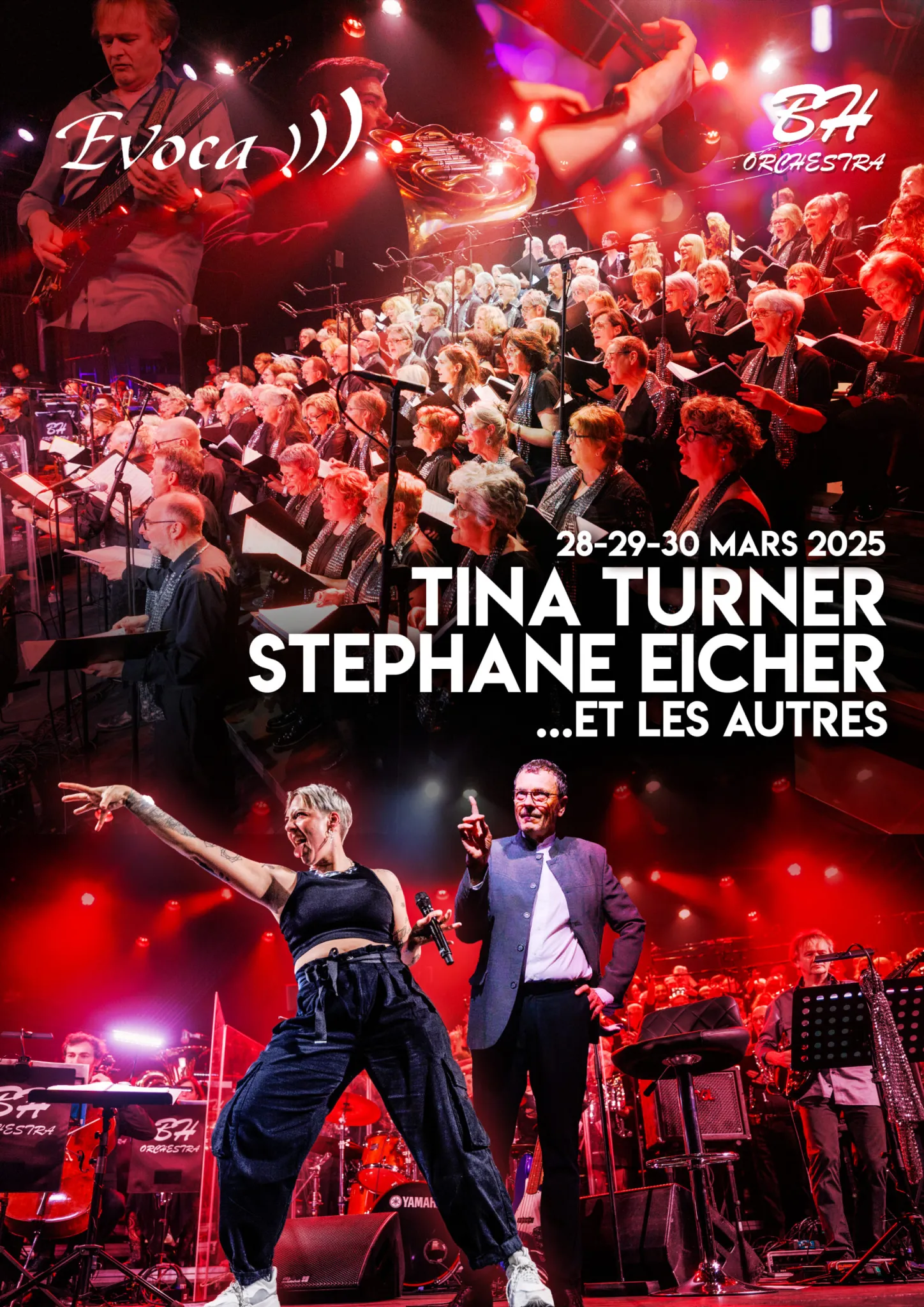 Tina Turner, Stephan Eicher... et les autres