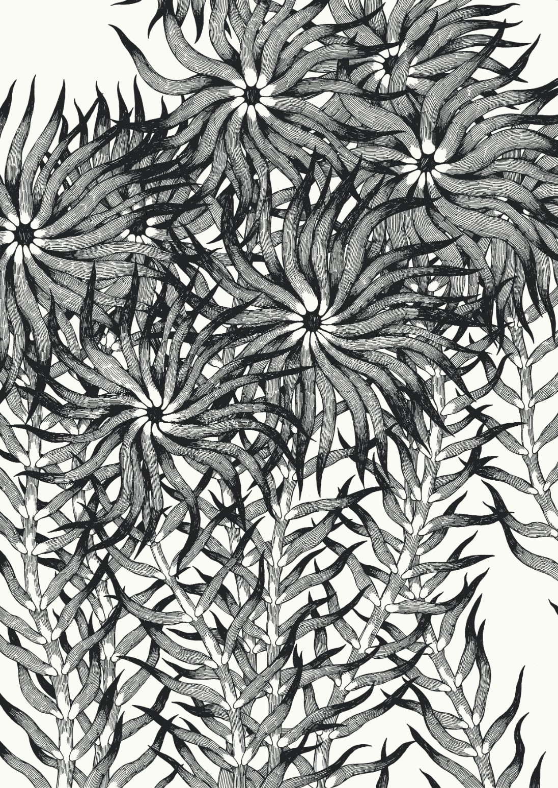 Vernissage commun des expositions automnales