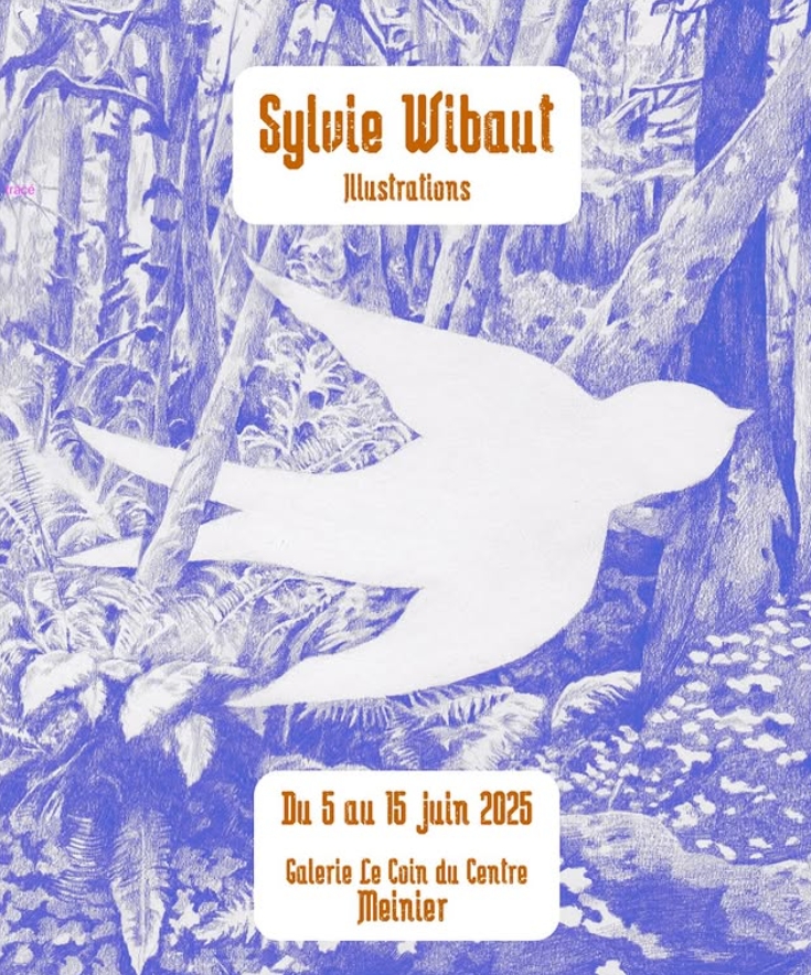 Sylvie Wibaut