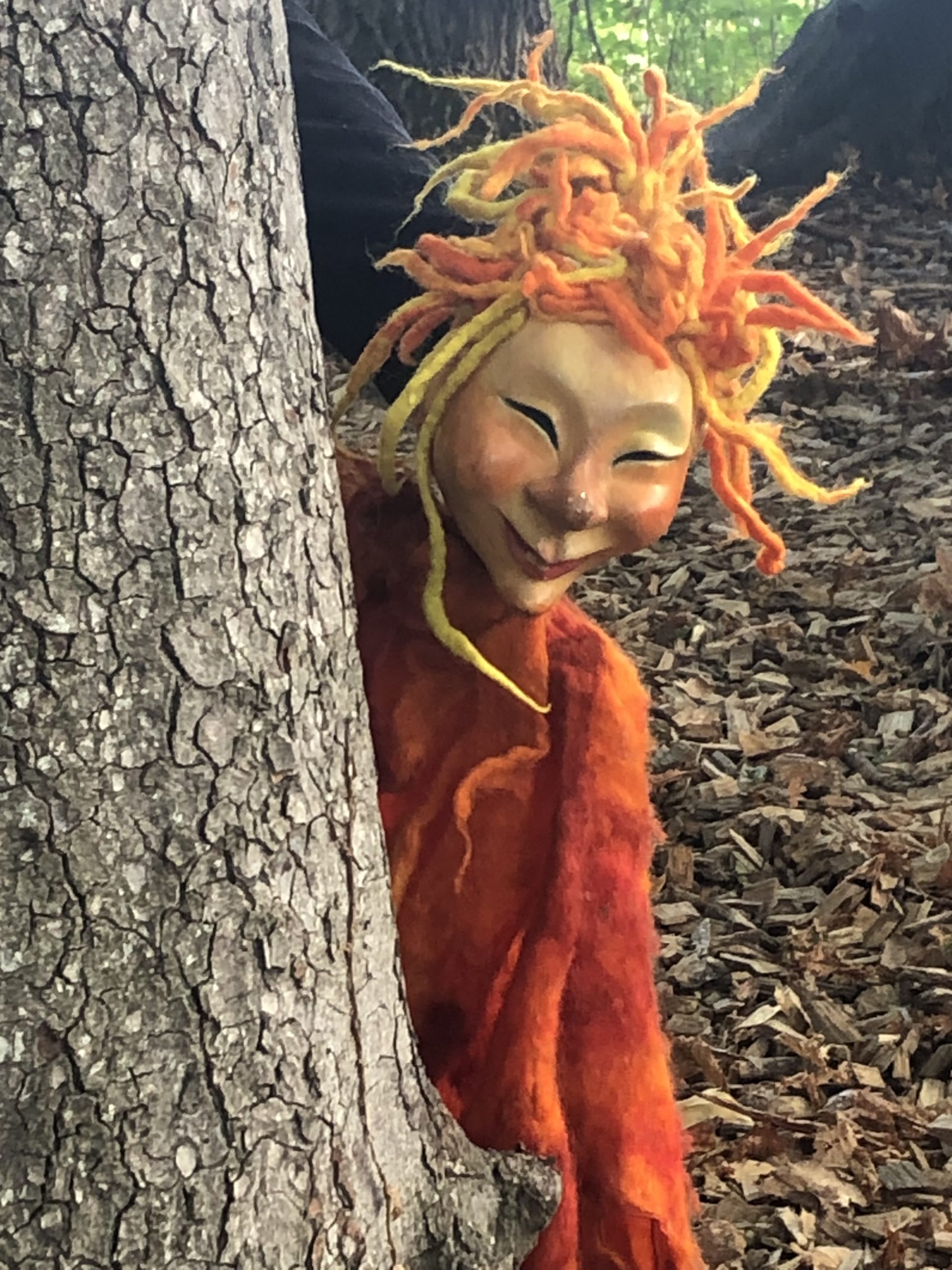 Dans la forêt, il y a …