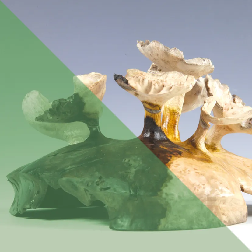 La Fukai, affabulation naturaliste