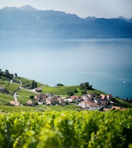 Domaine Mermetus