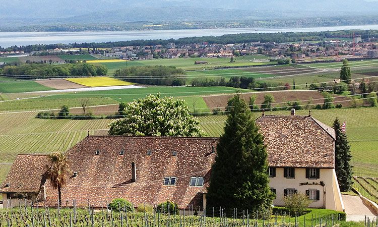 Domaine de Sarraux-Dessous