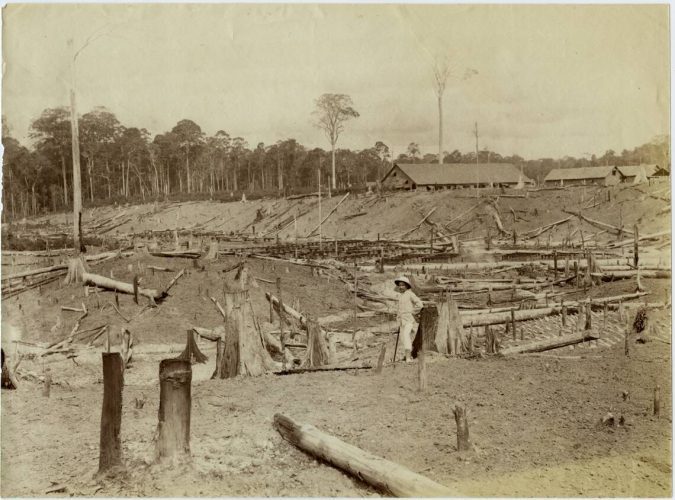 Planteur devant un champ défriché, Sumatra, fin du 19e siècle | Museum Heiden, Nachlass Traugott Zimmermann