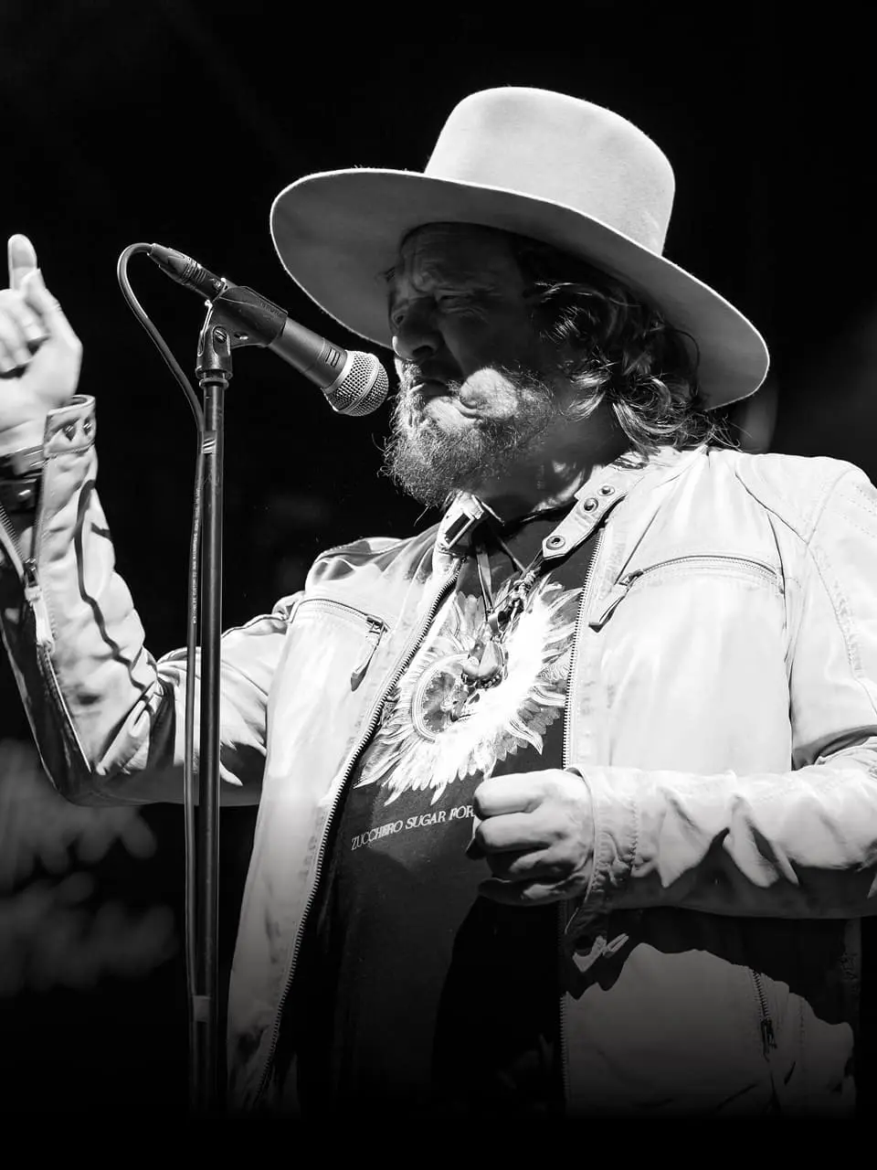 Projection de concert Heritage - Zucchero