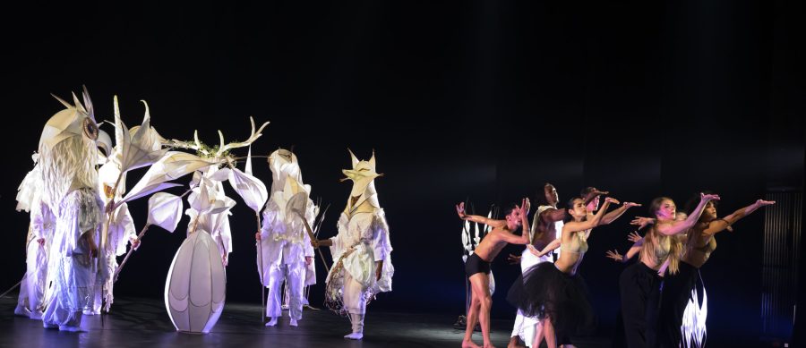 Le Carnaval des Animaux