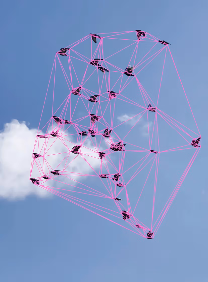 Contrechamps - Chants d'oiseaux