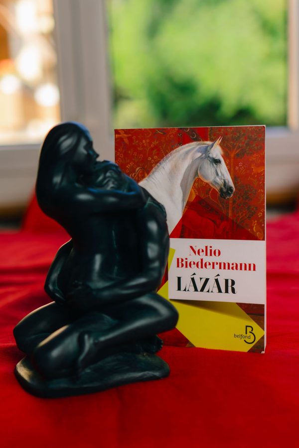 La rentrée littéraire de Zaza lit - Épisode 2/13 - Pourquoi le monde s’arrache le jeune écrivain suisse Nelio Biedermann