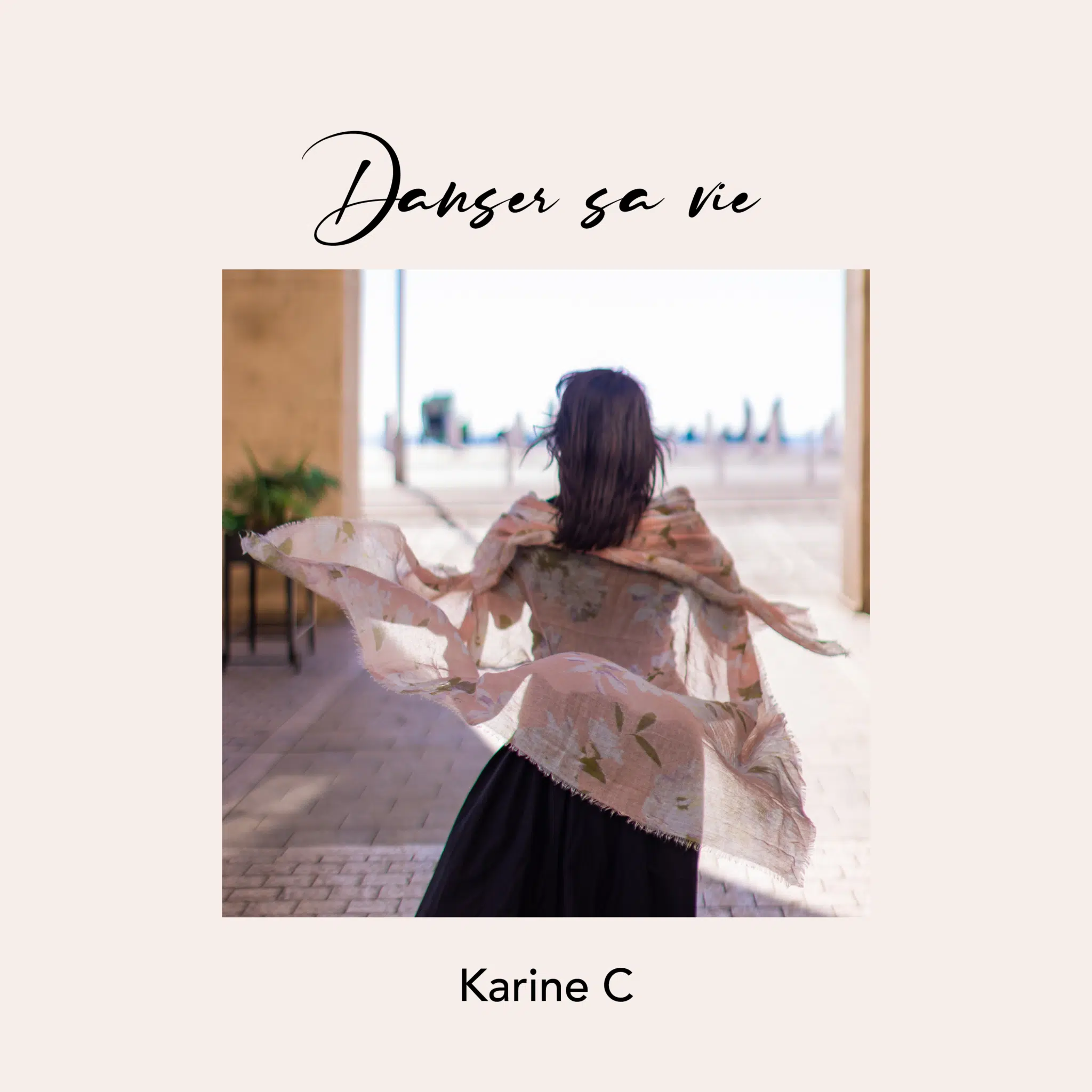 Karine C Trio en concert