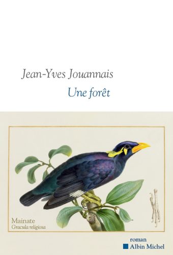 Une foret